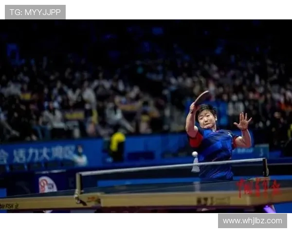 全国赛场群星闪耀推动体育精神全面升温再创佳绩风采尽显荣耀时刻